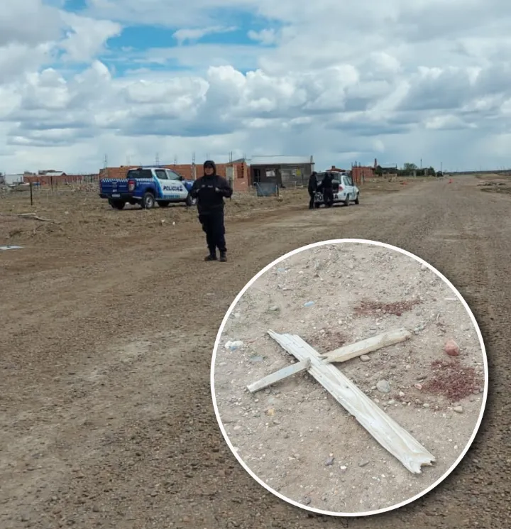 Screenshot_20231117-214056~2