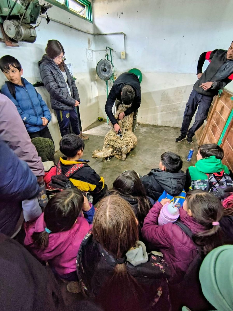 Impulsan jornadas pedagógicas y experiencias de articulación en Gobernador Gregores
