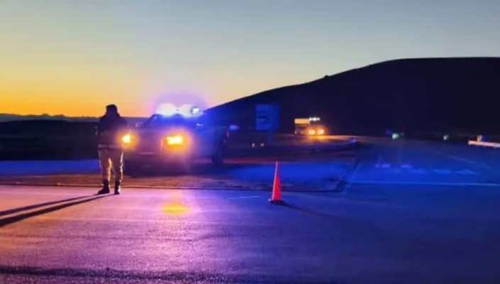 Identificaron cerca de mil ovejas durante un control y buscan determinar su procedencia