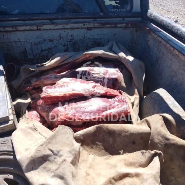 Otro caso de abigeato en Santa Cruz