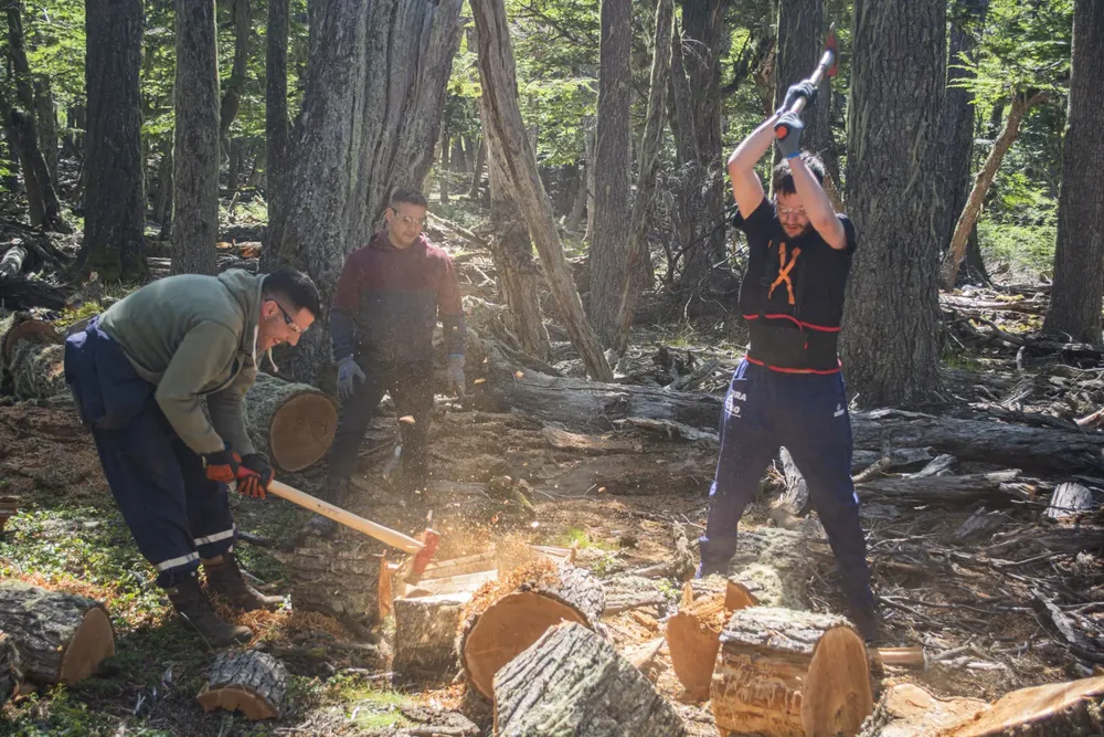 MDSII_LEA_PLAN_INVERNAL_36