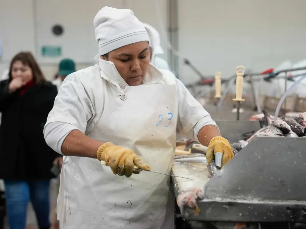 460953255_1221059929136851_3735934091326530582_n