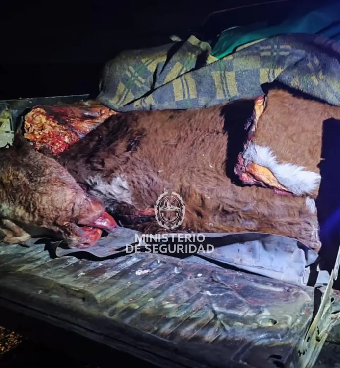 FB_IMG_1775549515652