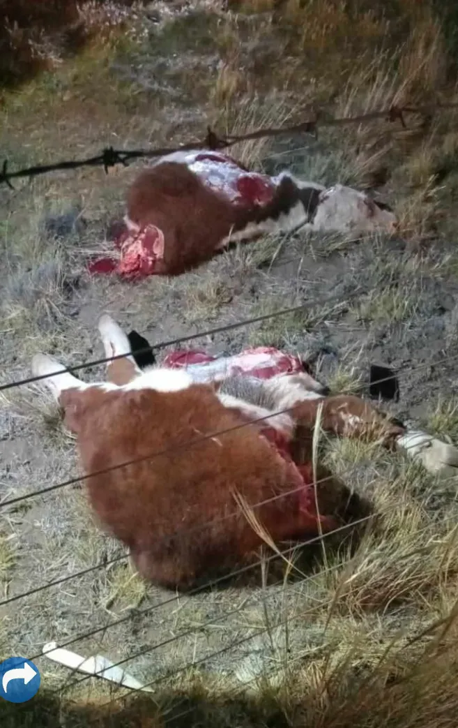 Screenshot_20250103-125856~2