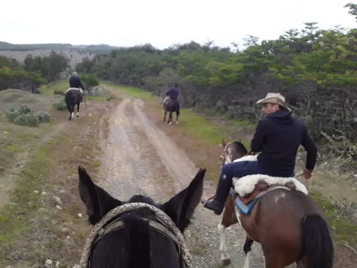 FB_IMG_1707009989141