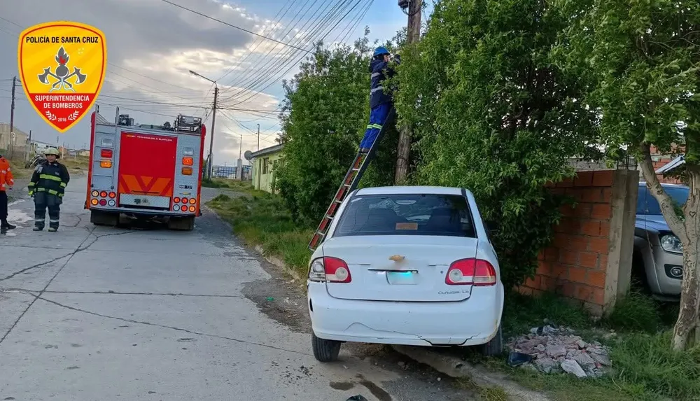 FB_IMG_1766721126775