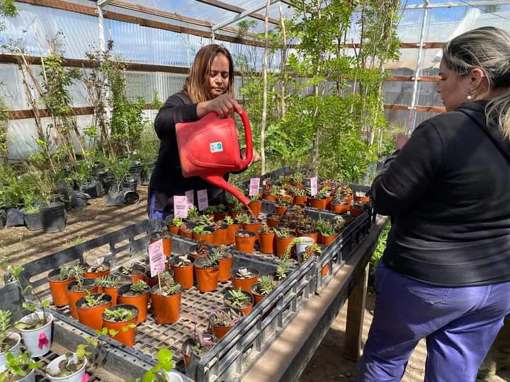 FB_IMG_1731920087745