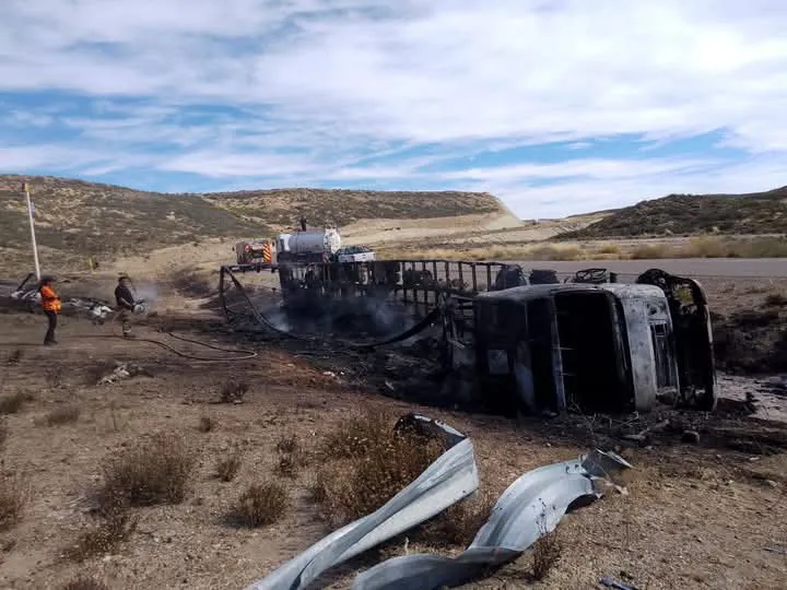 FB_IMG_1737246053799