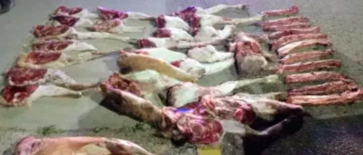 Screenshot_20251019-143104~2