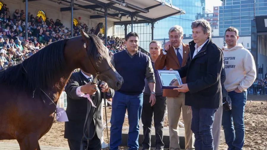 c3c6c6d2f5d9e91d8305463715b6a746_XL