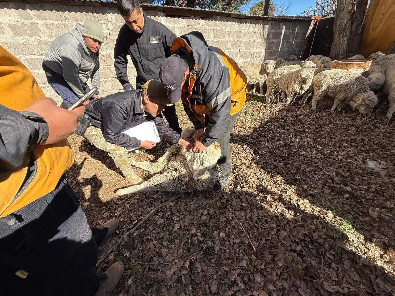 FB_IMG_1757087944716