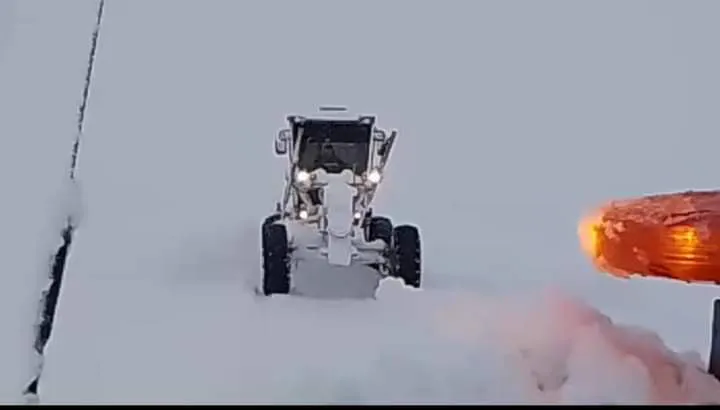 FB_IMG_1718492815483