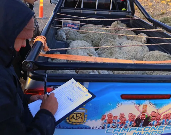 Screenshot_20251226-115339~2