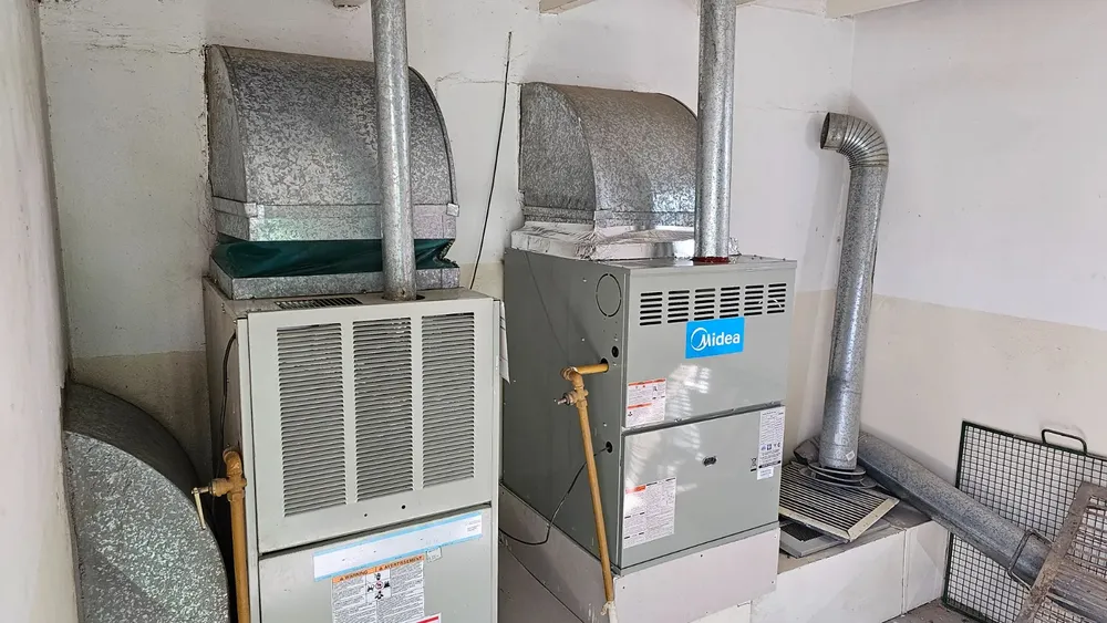 WhatsApp_Image_2024-07-30_at_10.48.29_1