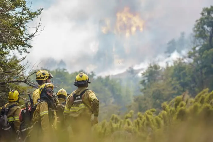 FB_IMG_1738673906377