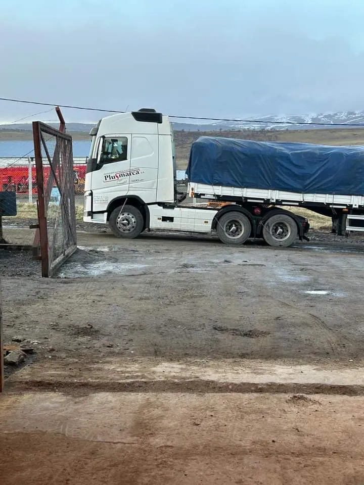 FB_IMG_1721855171845