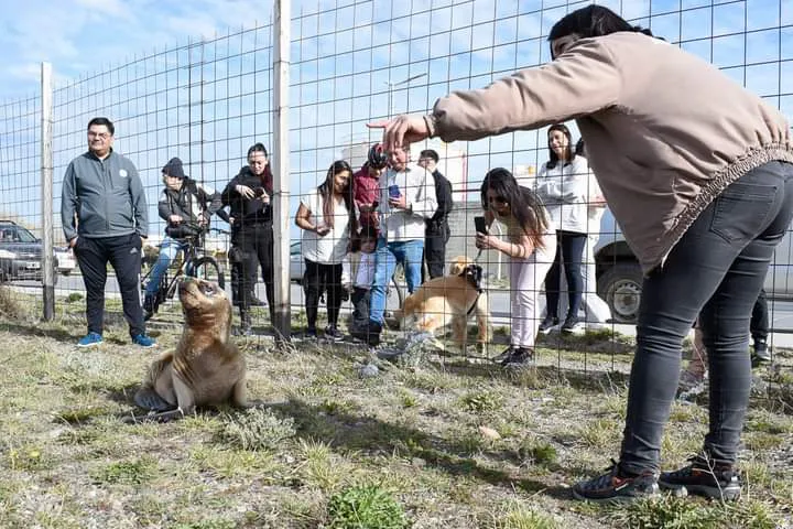 FB_IMG_1728450000743