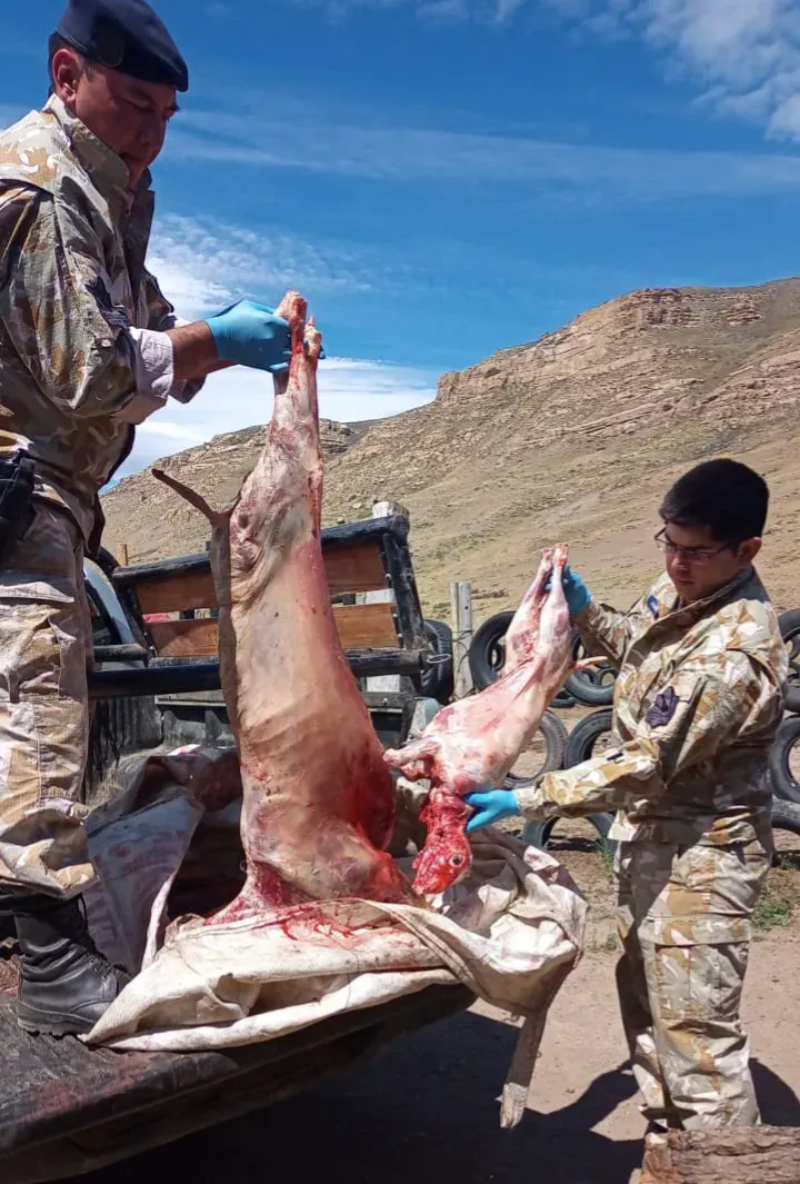 Screenshot_20231228-182617