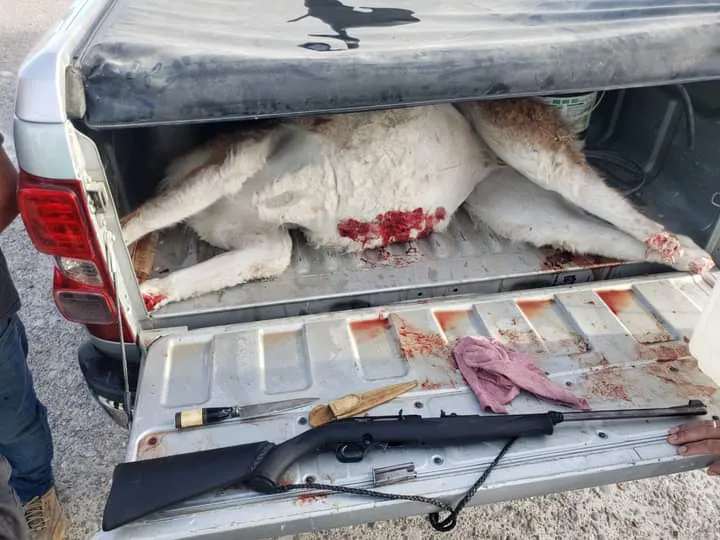 FB_IMG_1705885261990