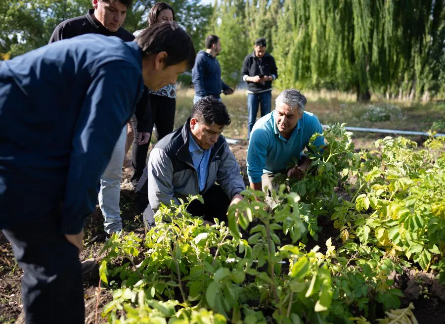 4492812dc6cf62c66d5d815313624ed2_XL