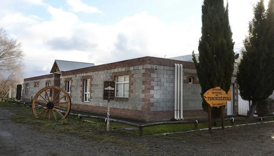 004abc48a014baf6a9b7ad10f62ff892_XL